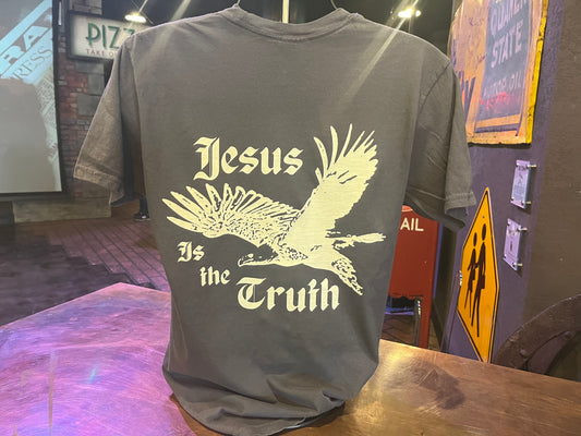 Jesus is the Truth Shirt