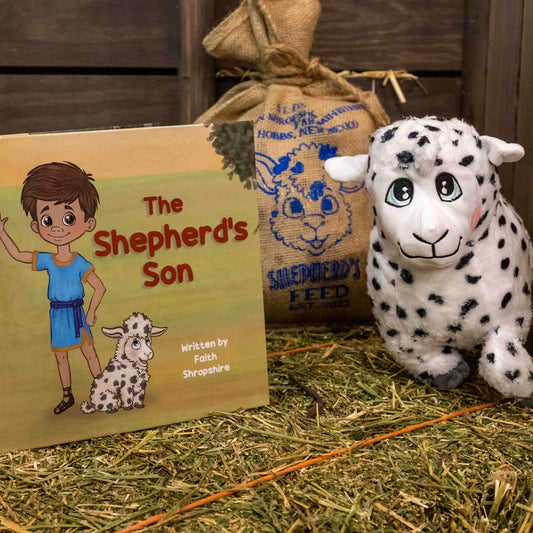 The Shepherd's Son Book Set